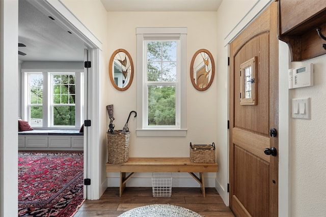 foyer entrance featuring plenty of natural light and dark wood-type flooring