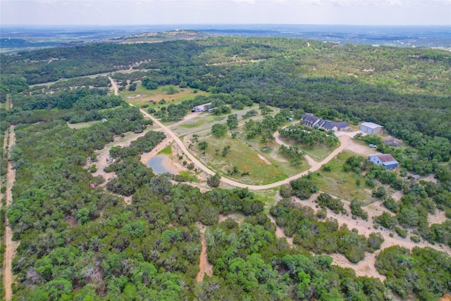 view of bird's eye view