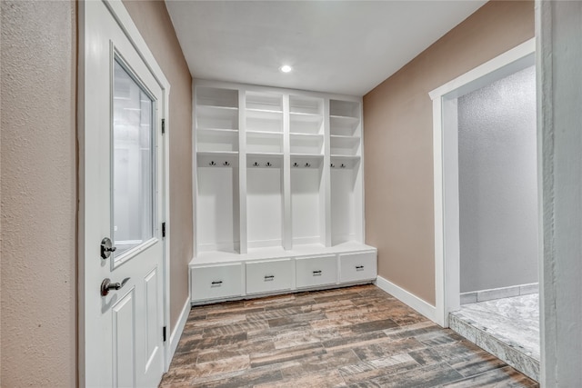 mudroom featuring dark hardwood / wood-style flooring