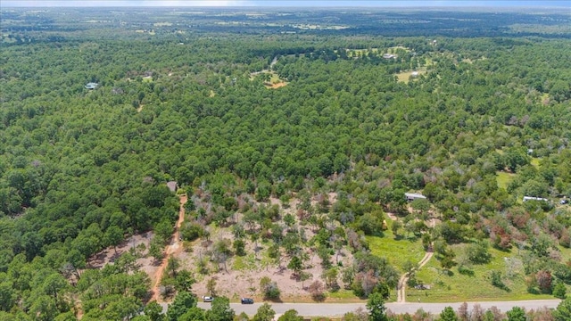 Listing photo 2 for TBD Pine Valley Loop, Smithville TX 78957