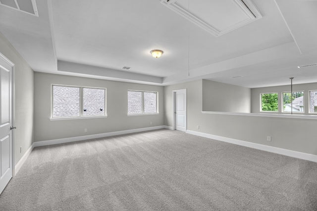 spare room featuring a raised ceiling and light carpet