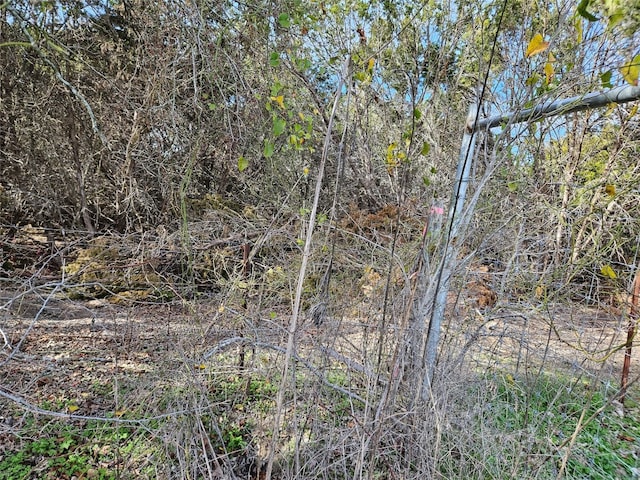 17726 N Fm 973rd Rd, Manor, TX 78653