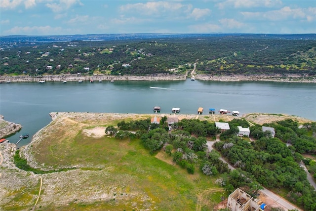 1307 Emerald Rd, Lago Vista, TX 78645 - photo 10