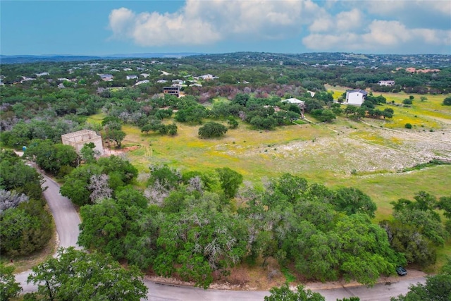 1307 Emerald Rd, Lago Vista, TX 78645 - photo 13