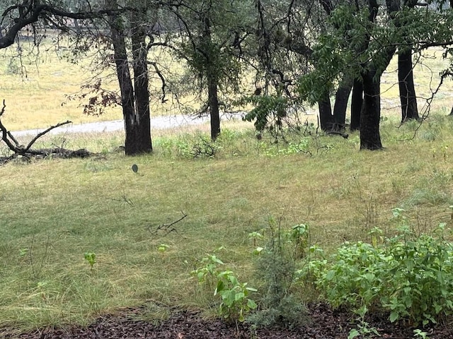 1307 Emerald Rd, Lago Vista, TX 78645 - photo 20
