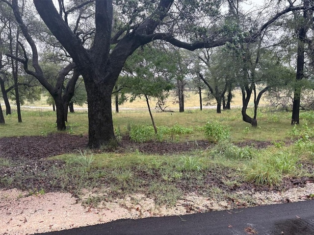 1307 Emerald Rd, Lago Vista, TX 78645 - photo 21