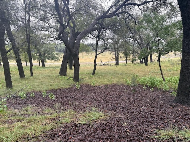 1307 Emerald Rd, Lago Vista, TX 78645 - photo 22
