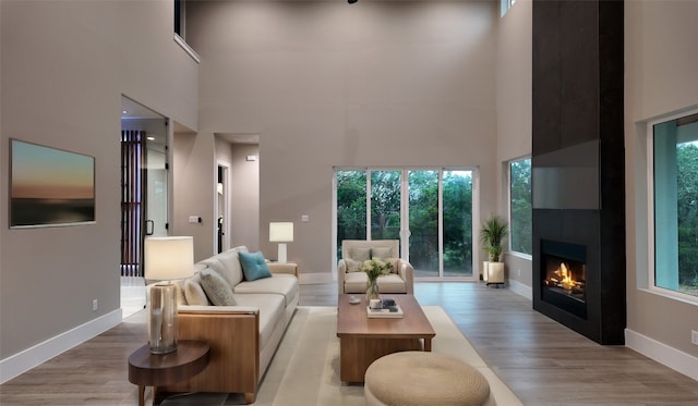 living room with hardwood / wood-style flooring, a towering ceiling, and a large fireplace