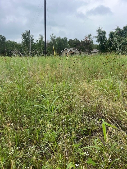 LOT442 E Pauwela Ln, Bastrop TX, 78602 land for sale