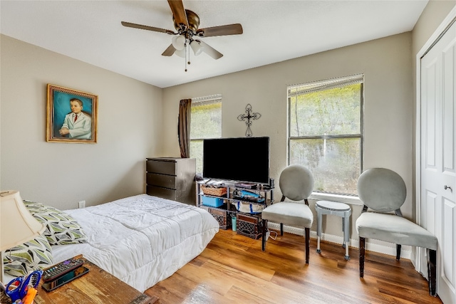 bedroom with wood-type flooring, ceiling fan, a closet, and multiple windows