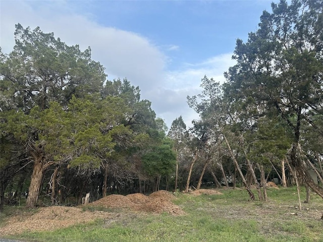 Listing photo 3 for 3105 Rainbow Hollow Dr, Lago Vista TX 78645