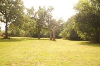 1302 County Road 316th Rd, Lexington, TX 78947 - photo 6