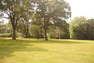 1302 County Road 316th Rd, Lexington, TX 78947 - photo 7