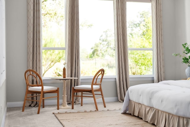 bedroom with light carpet and baseboards