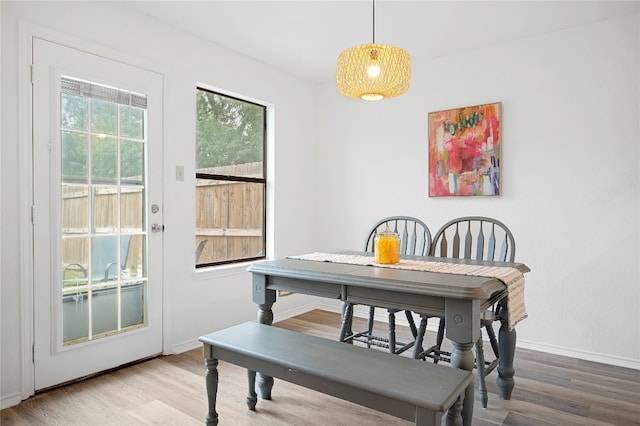 dining room with hardwood / wood-style flooring