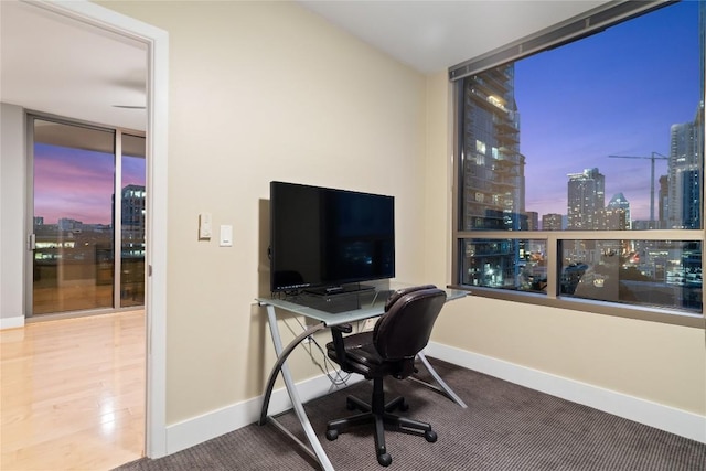 office space featuring hardwood / wood-style floors