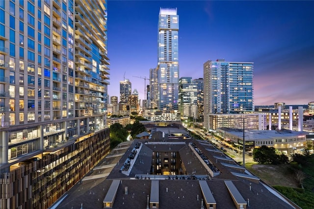 300 Bowie St Unit 1301, Austin, TX 78703 - photo 7