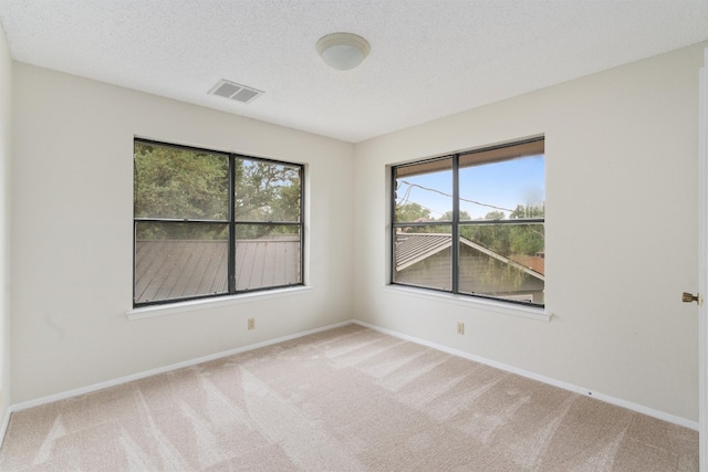 unfurnished room with light colored carpet and a textured ceiling