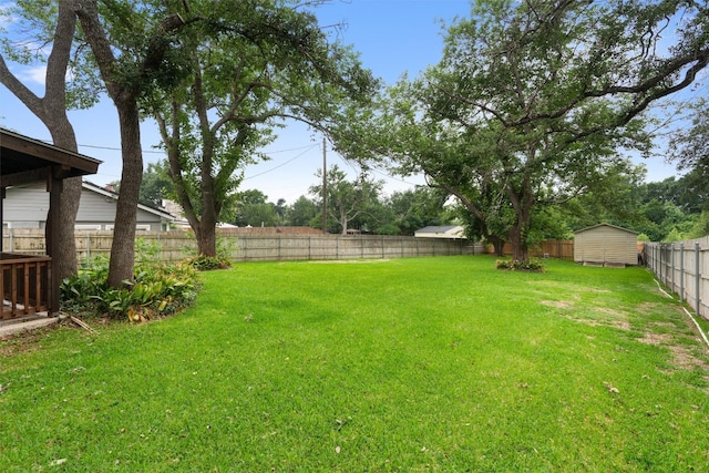 view of yard with a storage unit