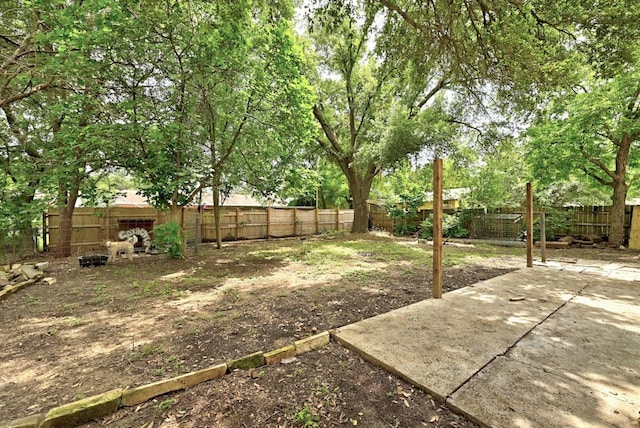 view of yard with a patio area