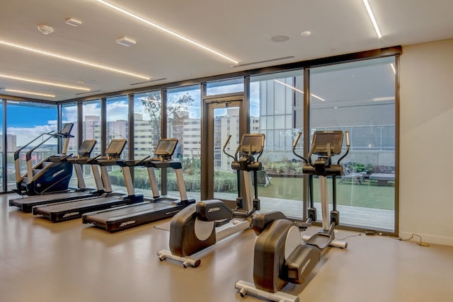 gym featuring a wall of windows