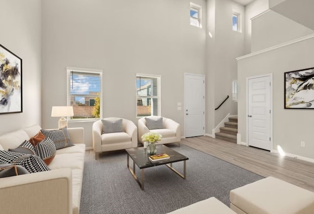 living room featuring hardwood / wood-style floors and a high ceiling