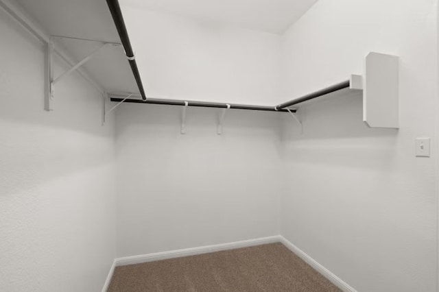 walk in closet with carpet