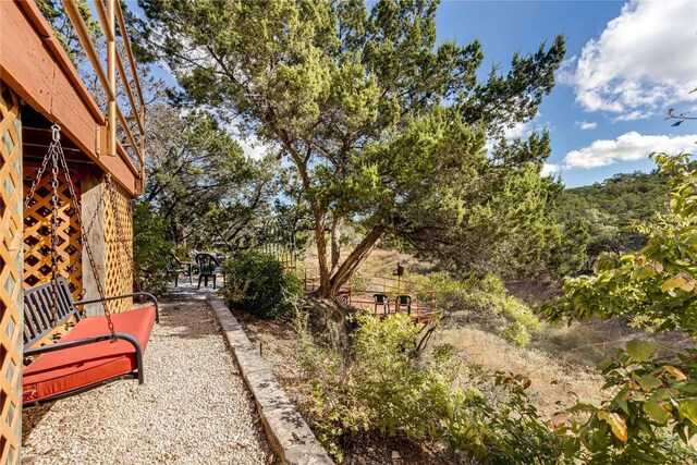 view of yard featuring a patio area