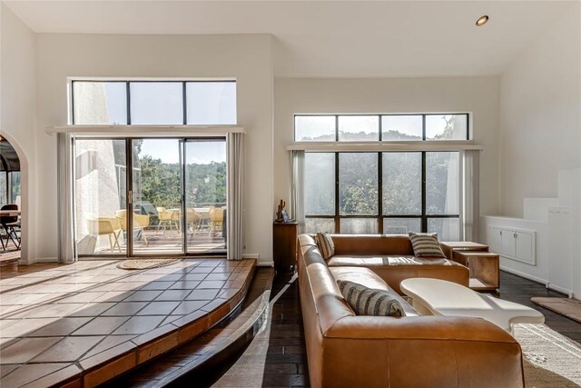 living room with dark hardwood / wood-style floors and a wealth of natural light