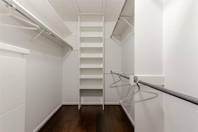 spacious closet with dark wood-type flooring