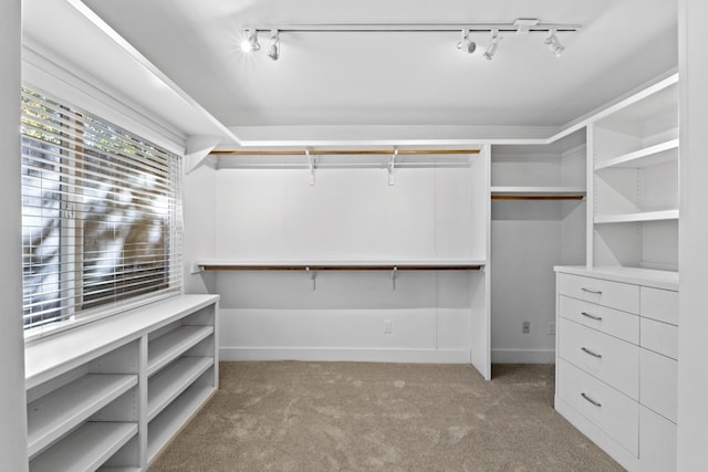 walk in closet with light colored carpet