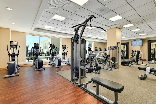 workout area featuring hardwood / wood-style floors and a drop ceiling