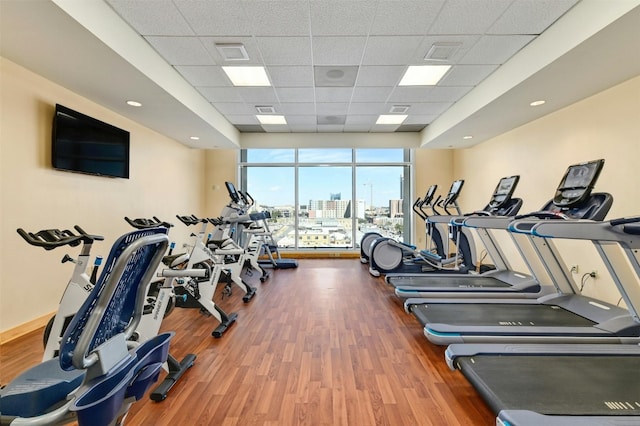 workout area with hardwood / wood-style floors, expansive windows, and a drop ceiling