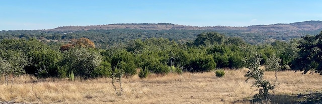 Listing photo 3 for LOT94 E Dripping View Ct, Johnson City TX 78636