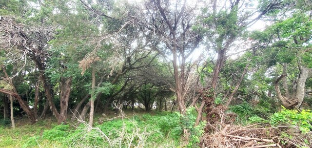 13257 Harbor Dr, Temple, TX 76502