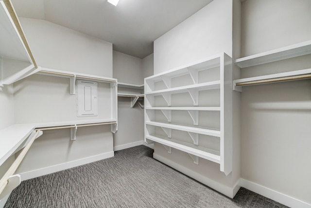 spacious closet with electric panel and carpet flooring