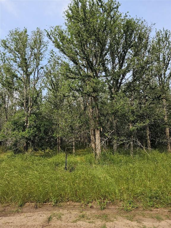 288 Kahana Ln, Bastrop, TX 78602