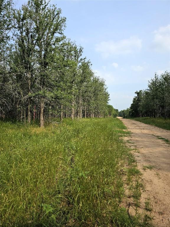 288 Kahana Ln, Bastrop, TX 78602