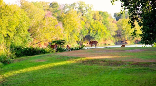 288 Kahana Ln, Bastrop, TX 78602