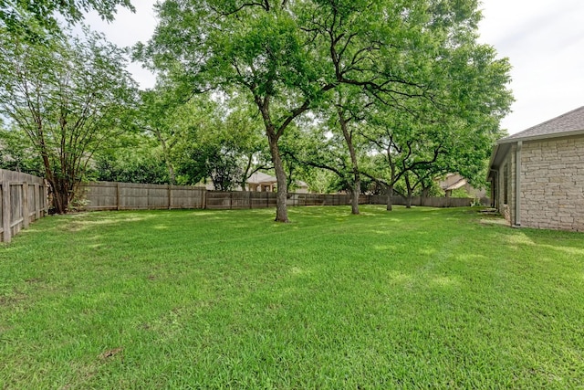 view of yard