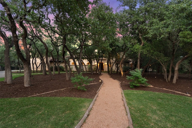 view of home's community featuring a lawn