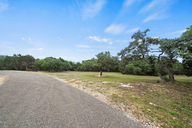 677 Possum Tree, Fischer, TX 78623 - photo 2