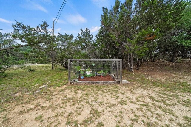 677 Possum Tree, Fischer, TX 78623 - photo 13