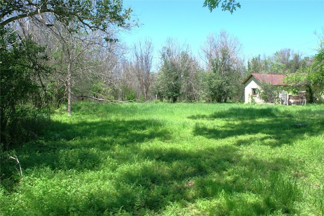 TBD W Allen St, Kyle, TX 78640 - photo 5