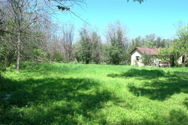 TBD W Allen St, Kyle, TX 78640 - photo 6