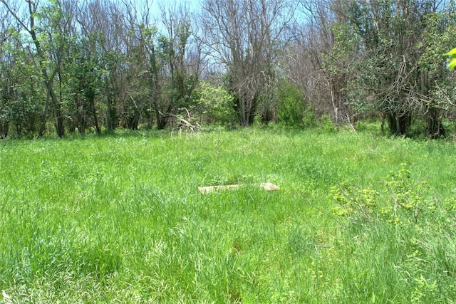 TBD W Allen St, Kyle, TX 78640 - photo 10