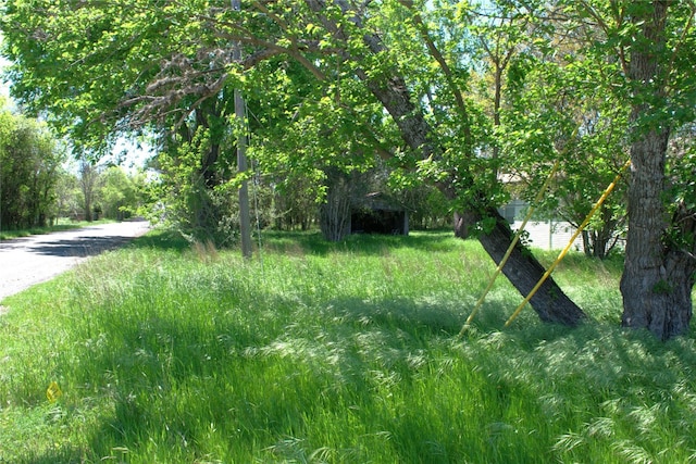 TBD W Allen St, Kyle, TX 78640 - photo 12