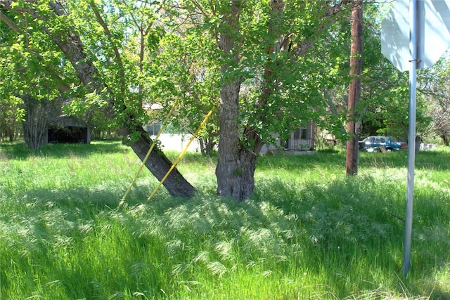 TBD W Allen St, Kyle, TX 78640 - photo 14