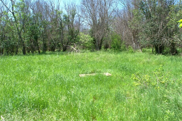 TBD 1st St, Kyle, TX 78640 - photo 6