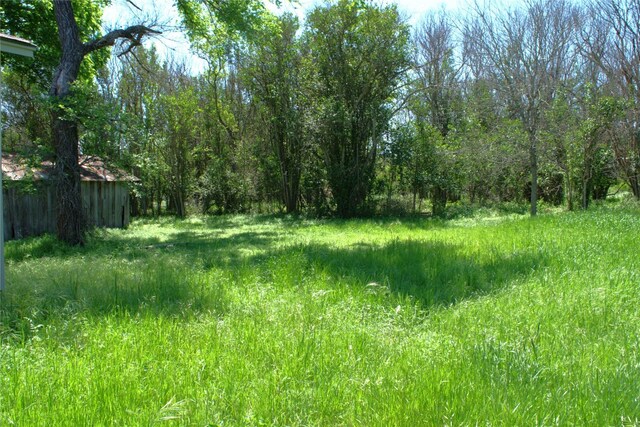 TBD 1st St, Kyle, TX 78640 - photo 9